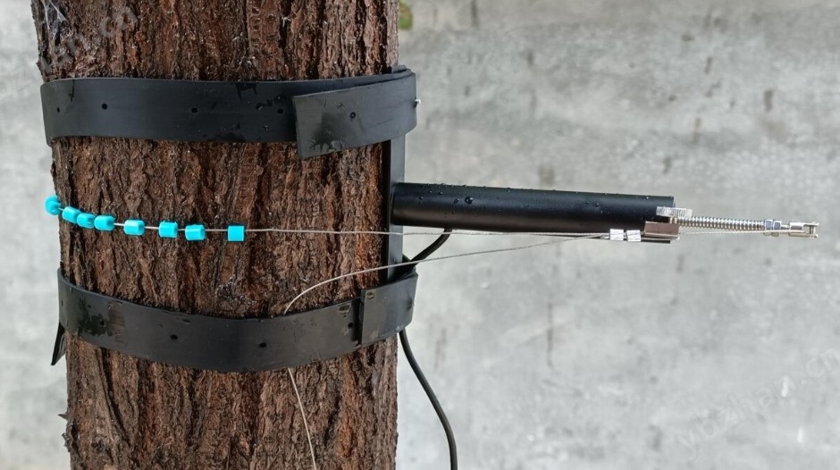 樹(shù)木胸徑生長(zhǎng)傳感器