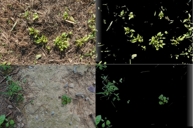 多光譜植被覆蓋度測量系統