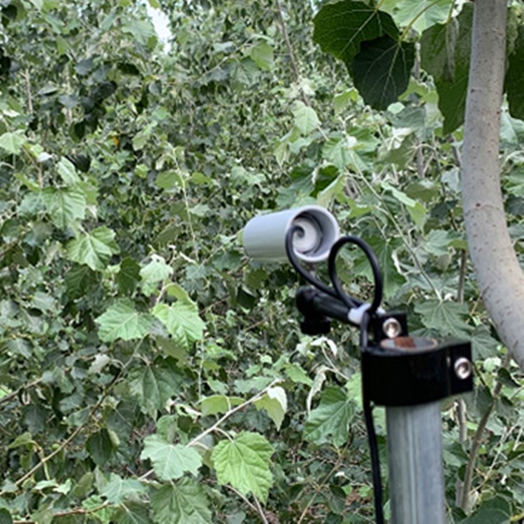 植物冠層溫度監測系統