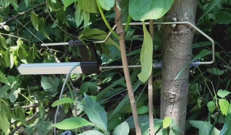 1637206635230067.jpg QQ截圖20211118113624.jpg