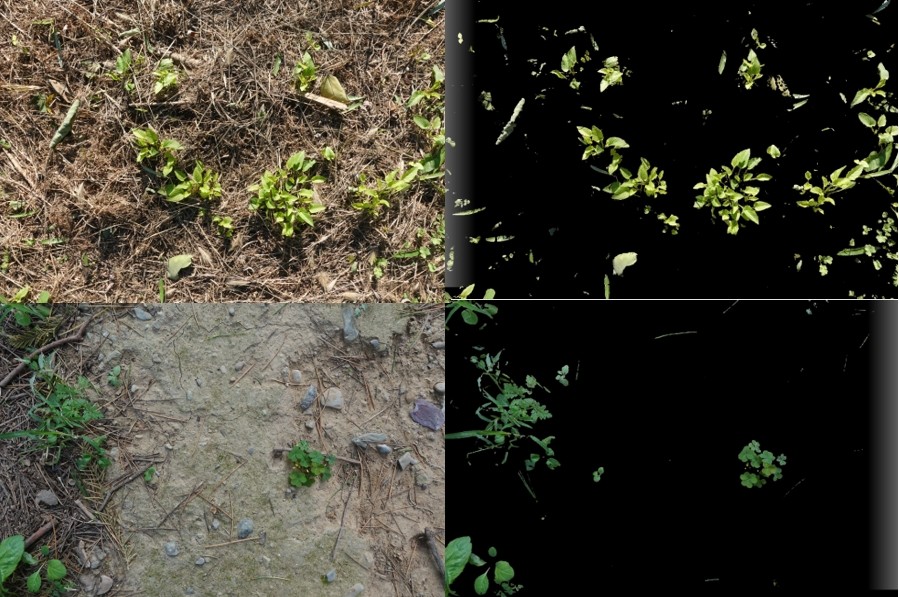 1701939888962362.jpg 1701939888962362.jpg