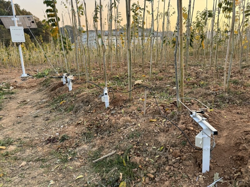 1710207026159730.jpg 1710207026159730.jpg