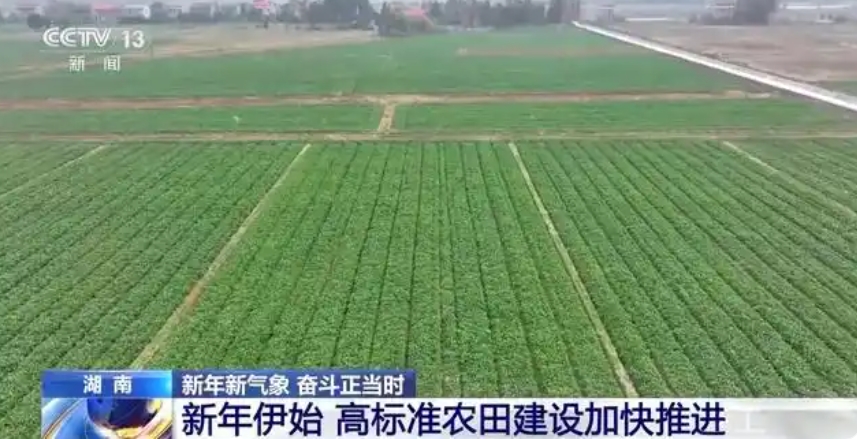 1736400736456292.jpg 微信截圖_20250109132720.jpg