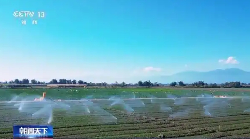 1736400759422454.jpg 4.jpg